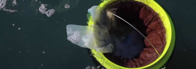 Seabin é o projeto mais promissor para manter limpos os oceanos