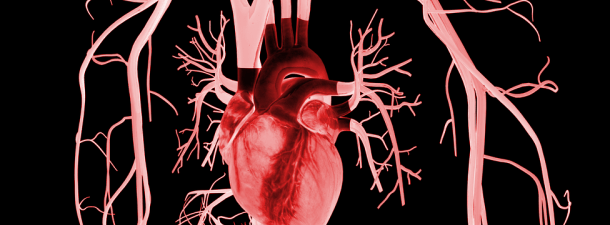 Os parches biônicos para o coração poderiam ser uma grande alternativa aos transplantes