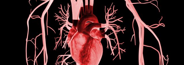 Os parches biônicos para o coração poderiam ser uma grande alternativa aos transplantes