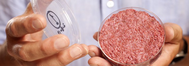 E se a carne criada em laboratório fosse mais saudável que a de hoje?